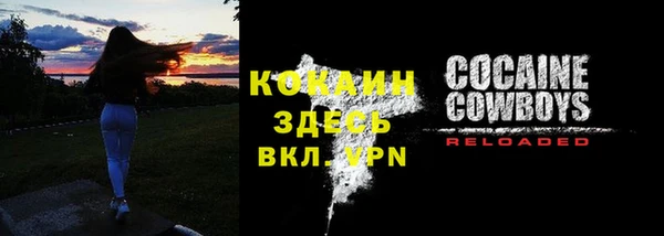 шишки Аша