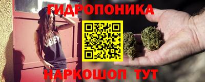 гашик Гай