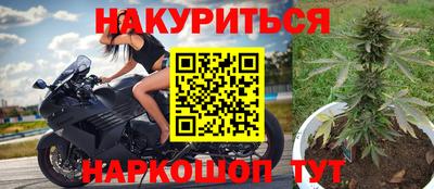 молекула духа Гатчина