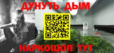 гашик Гай