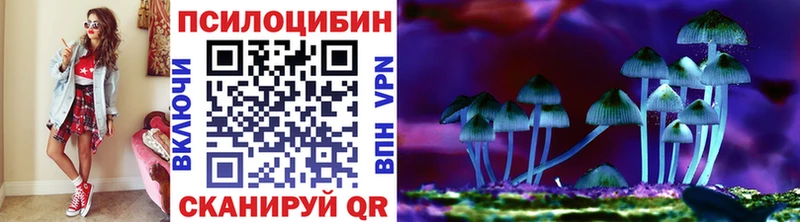 мега ссылка Гусь-Хрустальный Псилоцибиновые грибы Psilocybine cubensis