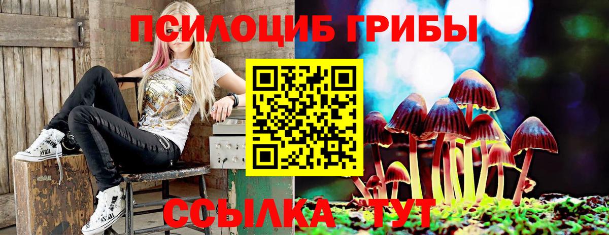 Псилоцибиновые грибы прущие грибы Гусь-Хрустальный