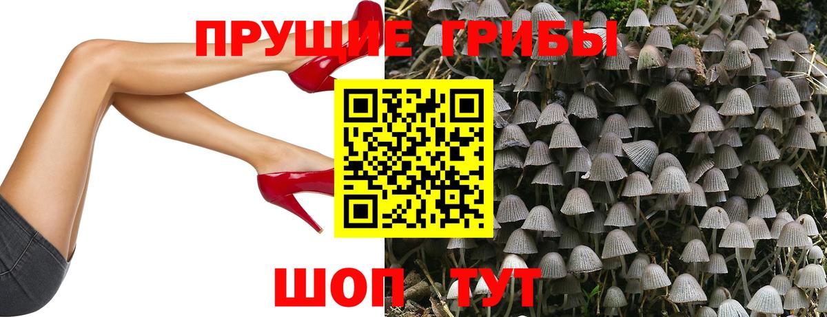 Гусь-Хрустальный  Псилоцибиновые грибы MAGIC MUSHROOMS  Вход с VPN 