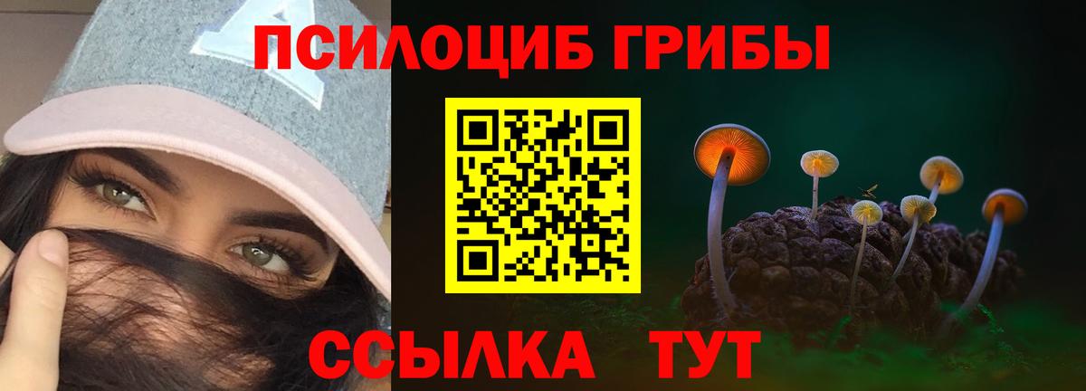 Псилоцибиновые грибы Psilocybe Гусь-Хрустальный